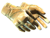 ★ Moto Gloves | Transport (Field-Tested)